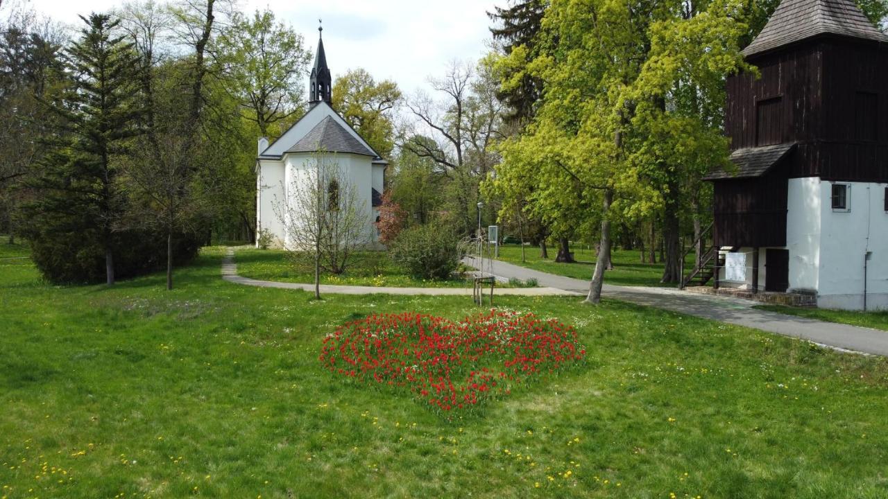 Homestay Poděbrady Eksteriør billede